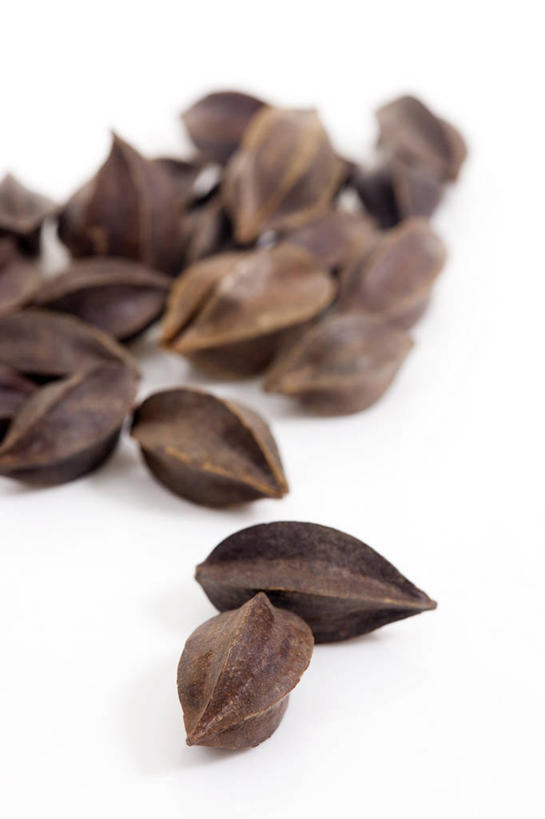 无人,竖图,静物,北京,中国,亚洲,药,食品,草药,饮食,饮料,干花,摄影,有机食品,影棚,多样,中国文化,摄影棚,营养品,中医,东亚,健康食物,彩图,影棚拍摄,拍摄,传统文化