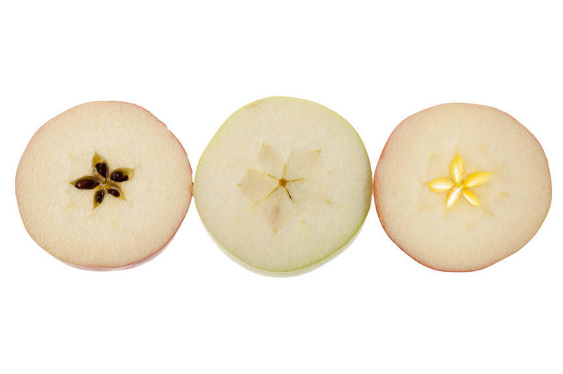 点心,面包,无人,横图,室内,特写,白色背景,正面,苹果,静物,水果,切开,食品,面点,种子,吐司,饮食,食物,糕点,一个,白色,青苹果,切,星形,摄影,影棚,单个,法式面包,部分,简单,清新,摄影棚,横截面,剖面,吐司面包,切面,健康食物,纯净,苹果核,彩图,影棚拍摄,拍摄,多士,听型面包