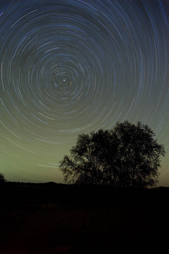 竖图,室外,夜晚,长时间曝光,坝上,中国,亚洲,圆形,星星,树,天空,自然,摄影,东亚,天文学,内蒙古,式样,彩图