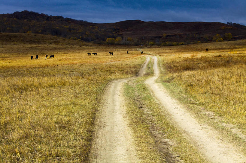 无人,横图,室外,白天,山,路,马,坝上,中国,亚洲,地形,草,天空,自然,摄影,东亚,内蒙古,彩图