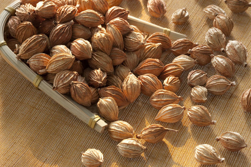 无人,横图,特写,留白,静物,许多,香料,食品,很多,饮食,彩图,砂仁