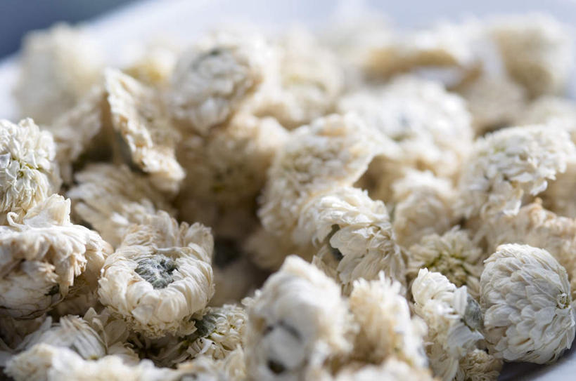 无人,横图,俯视,室内,特写,白天,白色背景,一堆,许多,阴影,堆叠,堆积,朦胧,模糊,盛开,反射,影子,花蕾,花,花瓣,花朵,鲜花,花苞,花蕊,摄影,甘菊,影棚,堆,杭菊花,高尚,杭白菊,彩图,高角度拍摄,影棚拍摄,拍摄