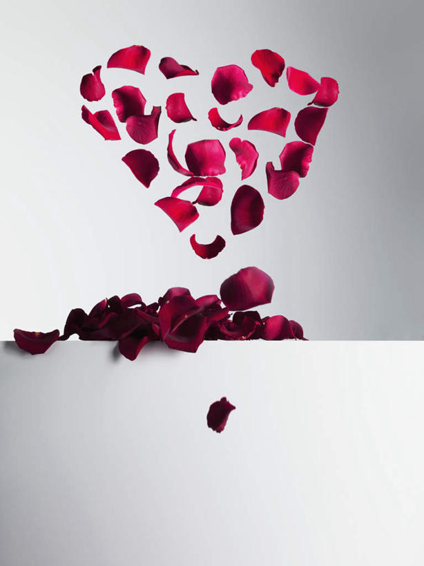 无人,竖图,室内,特写,白天,正面,爱情,幸福,纯洁,热情,桌面,桌子,玫瑰,灰色背景,爱心,盛开,木制,玫瑰花,浪漫,花蕾,花,花瓣,花朵,鲜花,木制品,花苞,花蕊,温暖,温馨,心形,恩爱,腾空,摄影,影棚,和睦,感动,尊敬,凌空,天真,刺玫花,徘徊花,心型,彩图,影棚拍摄,拍摄,融洽