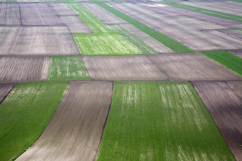 无人,农田,横图,俯视,室外,白天,旅游,度假,庄稼,农作物,美景,意大利,欧洲,阴影,光线,影子,景观,娱乐,阳光,自然,享受,休闲,景色,放松,南欧,自然风光,意大利共和国,翁布里亚,翁布里亚大区,彩图,高角度拍摄,耕地,庄稼田