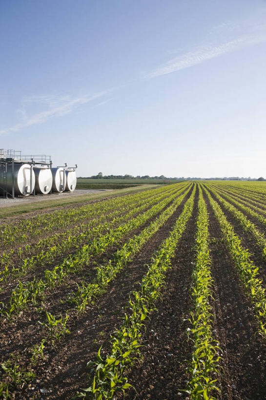 无人,农田,竖图,室外,白天,正面,旅游,度假,庄稼,农作物,美景,植物,英国,欧洲,阴影,光线,影子,地平线,景观,云,云朵,辽阔,地面,云彩,仓库,娱乐,英格兰,树,树木,蓝色,绿色,白云,蓝天,天空,阳光,自然,容器,天,享受,休闲,广阔,油罐,储油罐,景色,放松,生长,晴朗,成长,储藏,一望无际,西欧,储存,自然风光,延伸,大不列颠,大不列颠及北爱尔兰联合王国,天地相交,大不列颠联合王国,日不落英帝国,无边无际,一马平川,萨塞克斯,萨塞克斯郡,苏塞克斯,西萨塞克斯郡,奇切斯特,存油罐,贮油罐,晴空,彩图,耕地,庄稼田,贮存,堆栈
