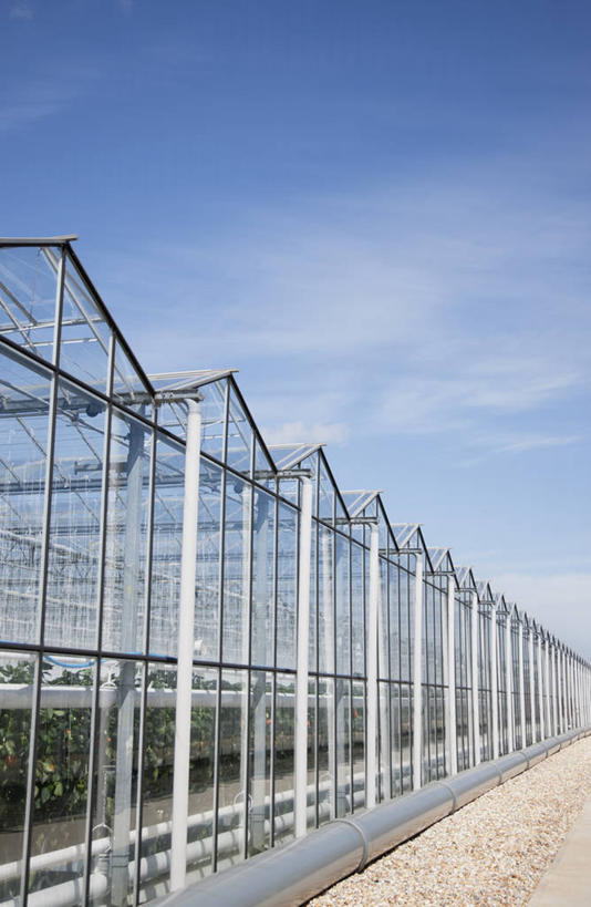 无人,农田,竖图,室外,白天,仰视,旅游,度假,庄稼,农作物,美景,英国,欧洲,阴影,光线,影子,景观,云,云朵,云彩,温室,娱乐,英格兰,蓝色,白云,蓝天,天空,阳光,自然,天,享受,休闲,景色,放松,设施,晴朗,暖房,防寒,西欧,加温,自然风光,透光,大不列颠,保温,大不列颠及北爱尔兰联合王国,大不列颠联合王国,日不落英帝国,萨塞克斯,萨塞克斯郡,苏塞克斯,西萨塞克斯郡,奇切斯特,晴空,彩图,低角度拍摄,耕地,庄稼田