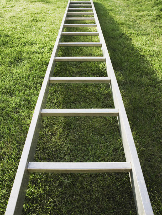 无人,攀登,竖图,俯视,室外,白天,草地,草坪,植物,阴影,光线,梯子,影子,阶梯,木梯,草,一个,绿色,阳光,爬,单个,上升,登高,攀爬,彩图,高角度拍摄