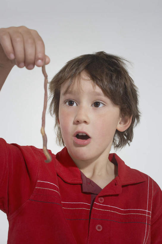 西方人,儿童,一个人,站,竖图,室内,白天,白色背景,正面,纯洁,野生动物,欧洲,欧洲人,仅一个男性,仅一个人,一条,握,服装,惊讶,昆虫,拿,拿着,注视,休闲装,小孩,衣服,红色,动物,观察,看,站着,张嘴,仅一个小孩,休闲,休闲服,可爱,童年,童趣,握着,摄影,服饰,活泼,影棚,观看,惊奇,察看,关注,张大嘴巴,蚯蚓,童真,烂漫,无邪,诧异,地虫,地龙,坚蚕,蛐蟮,天真,男孩,男人,男性,白种人,孩子,张开嘴,站立,半身,彩图,影棚拍摄,拍摄,男生