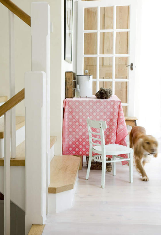 无人,栏杆,走,竖图,室内,白天,正面,楼梯,门,桌面,桌子,宠物,狗,椅子,木制,布料,扶手,阶梯,木椅,布纹,注视,护栏,台阶,桌布,一只,动物,餐巾,木制品,门框,台布,观察,看,可爱,观看,察看,关注,忠诚,犬,步行,散步,走路,彩图,全身