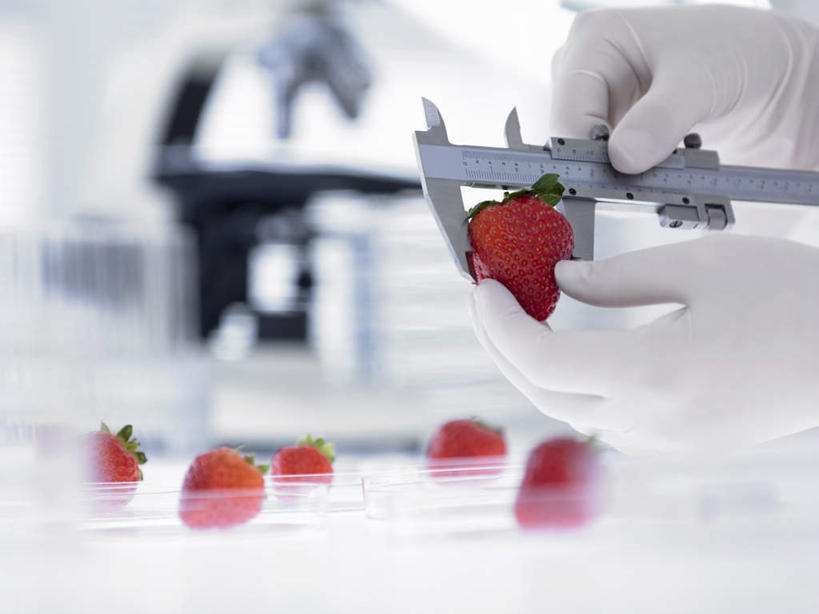 西方人,手,一个人,科学家,横图,室内,特写,白天,正面,安全,实验,研发,仪器,生活用品,草莓,浆果,水果,欧洲,欧洲人,双手,仅一个年轻女性,仅一个女性,仅一个人,握,朦胧,模糊,新鲜,研究,分析,科学,化学,测量,测试,培养皿,器材,刻度,实验室,研究室,生食,食品,果实,防护,拿,拿着,食物,红色,手套,手部,器皿,生物,握着,有机食品,绿色食品,测量工具,保护,快速,科研,准确,科研人员,精度,精准,化验,保险,研究者,检验,研究所,物理,皮氏培养皿,科学研究者,试验耗材,实验用品,化学器材,化验室,检验室,量具,量仪,保全,周全,安稳,安定,防护手套,直径,厚度,卡规,平安,年轻女性,女人,女性,白种人,科学工作者,洋莓,水果皇后,红莓,地莓,半身,彩图