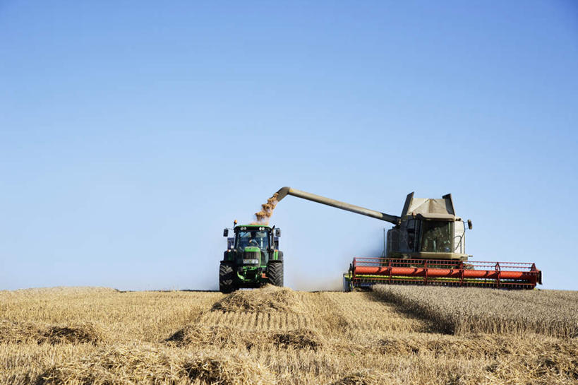 无人,农田,横图,室外,白天,仰视,旅游,度假,农业,庄稼,农作物,收割,小麦,美景,阴影,丰收,光线,工具,影子,稻田,地平线,景观,辽阔,谷物,地面,娱乐,蓝色,蓝天,天空,阳光,自然,天,享受,休闲,广阔,景色,放松,麦子,收获,晴朗,一望无际,自然风光,延伸,收割机,农具,万里无云,天地相交,无边无际,一马平川,脱粒,晴空,晴空万里,彩图,低角度拍摄,耕地,庄稼田