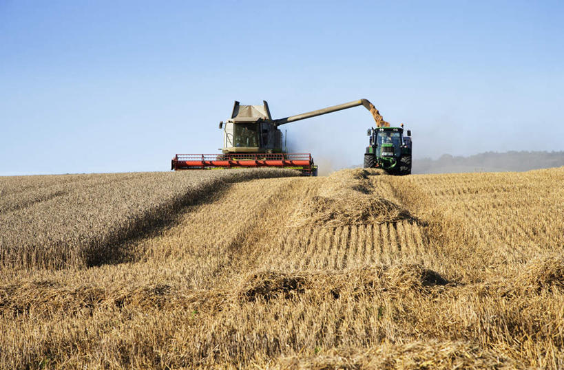 无人,农田,横图,室外,白天,仰视,旅游,度假,农业,庄稼,农作物,收割,小麦,美景,阴影,丰收,光线,工具,影子,稻田,地平线,景观,辽阔,谷物,地面,娱乐,蓝色,蓝天,天空,阳光,自然,天,享受,休闲,广阔,景色,放松,麦子,收获,晴朗,一望无际,自然风光,延伸,收割机,农具,万里无云,天地相交,无边无际,一马平川,脱粒,晴空,晴空万里,彩图,低角度拍摄,耕地,庄稼田