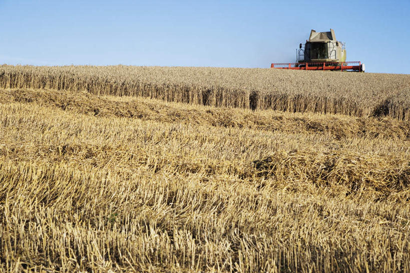 无人,农田,横图,室外,白天,仰视,旅游,度假,农业,庄稼,农作物,收割,小麦,美景,阴影,丰收,光线,工具,影子,稻田,地平线,景观,辽阔,谷物,地面,娱乐,蓝色,蓝天,天空,阳光,自然,天,享受,休闲,广阔,景色,放松,麦子,收获,晴朗,一望无际,自然风光,延伸,收割机,农具,万里无云,天地相交,无边无际,一马平川,脱粒,晴空,晴空万里,彩图,低角度拍摄,耕地,庄稼田