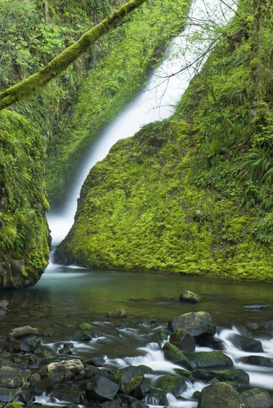 无人,竖图,室外,白天,正面,旅游,度假,草地,草坪,河流,石头,美景,瀑布,山,山脉,水,植物,美国,飞溅,朦胧,模糊,溅,石子,液体,河水,景观,山峰,水滴,水流,山峦,娱乐,水珠,草,绿色,小溪,自然,群山,溪水,享受,休闲,景色,放松,北美,北美洲,喷洒,自然风光,美洲,俄勒冈州,沉积岩,俄勒冈,北亚美利加洲,亚美利加洲,落日之州,水獭之州,海狸州,水成岩,跌水,石块,岩石,彩图