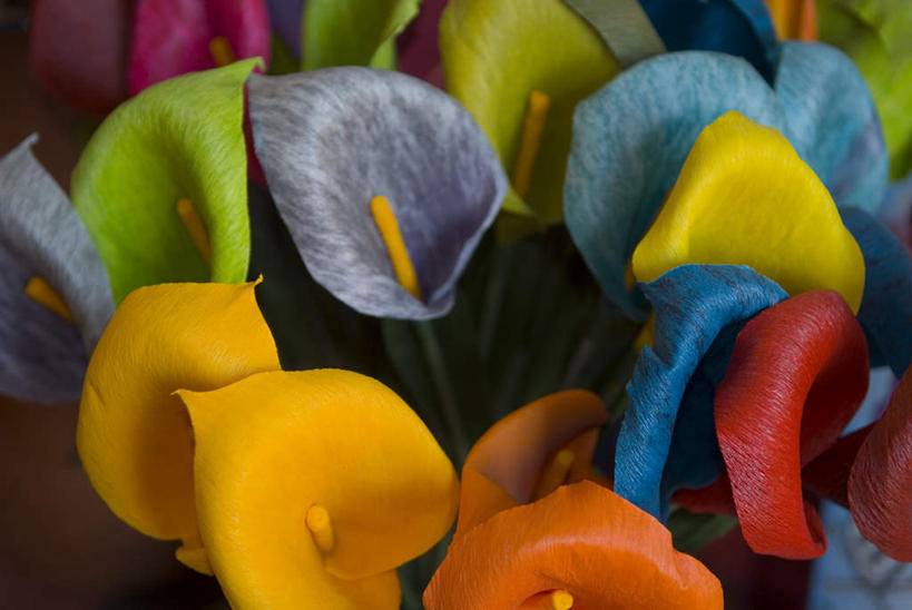 无人,横图,室外,白天,正面,许多,阴影,装饰,盛开,光线,影子,花蕾,花,花瓣,花朵,鲜花,阳光,假花,花苞,花蕊,颜色,华丽,修饰,点缀,花梗,衬托,美观,雅致,雅观,彩图,仿真花,人造花