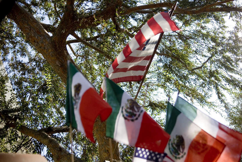 无人,横图,室外,白天,仰视,植物,旗帜,国旗,墨西哥,阴影,光线,旗杆,影子,树,树木,蓝色,绿色,蓝天,天空,阳光,自然,天,美国国旗,生长,晴朗,成长,北美,北美洲,美洲,万里无云,北亚美利加洲,亚美利加洲,墨西哥合众国,仙人掌王国,旗,晴空,晴空万里,彩图,低角度拍摄