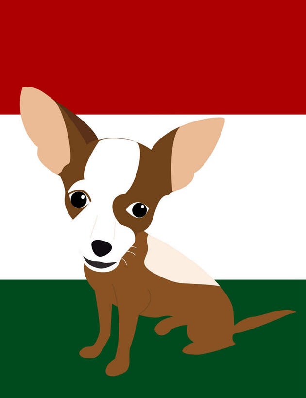 无人,竖图,室内,白天,正面,数码,科技,宠物,狗,一条,阴影,网络,棕色,吉娃娃,高光,几何,计算机图形,合成,一只,动物,可爱,电脑合成图,数码合成图,忠诚,芝娃娃,奇娃娃,吉娃娃犬,齐花花,写实,具体,具象,犬,彩图,全身