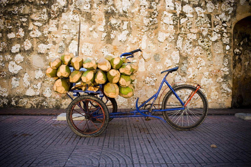 无人,横图,室外,白天,正面,旅游,度假,美景,城市,自行车,椰子,水果,多米尼加,一堆,一辆,堆叠,堆积,新鲜,墙,景观,生食,食品,果实,首都,娱乐,墙壁,墙面,车,脚踏车,食物,自然,交通工具,享受,休闲,景色,放松,有机食品,绿色食品,堆,北美,北美洲,自然风光,载具,美洲,圣多明戈,圣多明各,北亚美利加洲,亚美利加洲,大椰,胥余,椰瓢,越王头,多米尼加共和国,圣多明哥,彩图