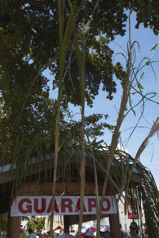 无人,家,竖图,室外,白天,仰视,旅游,度假,美景,树林,植物,指示牌,墨西哥,阴影,光线,英文,标志,文字,影子,字符,字母,房屋,屋子,景观,云,云朵,云彩,娱乐,标识,楼房,住宅,树,树木,红色,蓝色,绿色,白云,蓝天,天空,阳光,自然,天,享受,休闲,景色,放松,生长,成长,英文字母,北美,北美洲,自然风光,美洲,北亚美利加洲,亚美利加洲,墨西哥合众国,仙人掌王国,圣卢卡斯角,彩图,低角度拍摄,房子