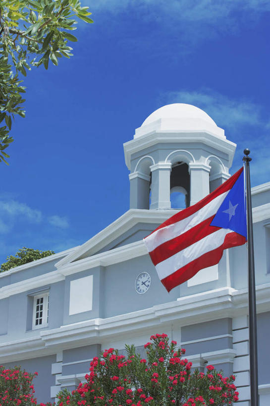 无人,竖图,室外,白天,仰视,旅游,度假,植物,标志建筑,地标,建筑,旗帜,国旗,一面,悬挂,飘扬,云,云朵,建筑群,云彩,娱乐,建设,树,树木,蓝色,绿色,白云,蓝天,天空,自然,天,享受,休闲,放松,生长,晴朗,成长,北美,北美洲,美洲,圣胡安,首府,北亚美利加洲,亚美利加洲,圣胡安市,波多黎各,波多黎各自由邦,大安的列斯群岛,旗,晴空,彩图,低角度拍摄