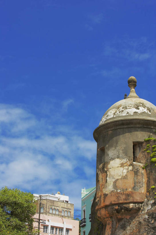 无人,竖图,室外,白天,仰视,植物,标志建筑,地标,建筑,阴影,破旧,陈旧,光线,影子,房屋,屋子,云,云朵,公寓,建筑群,云彩,建设,楼房,住宅,树,树木,蓝色,绿色,白云,蓝天,天空,阳光,自然,天,生长,晴朗,成长,北美,北美洲,美洲,圣胡安,首府,北亚美利加洲,亚美利加洲,圣胡安市,波多黎各,波多黎各自由邦,大安的列斯群岛,晴空,彩图,低角度拍摄,房子