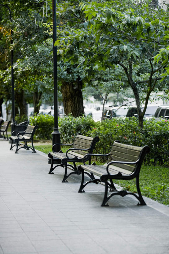 竖图,室外,白天,正面,旅游,度假,美景,植物,道路,街道,路,椅子,阴影,光线,影子,木椅,景观,小路,交通,娱乐,树,树木,三个,绿色,阳光,自然,享受,休闲,景色,放松,生长,成长,北美,北美洲,自然风光,美洲,圣胡安,首府,北亚美利加洲,亚美利加洲,圣胡安市,波多黎各,波多黎各自由邦,大安的列斯群岛,半身,彩图