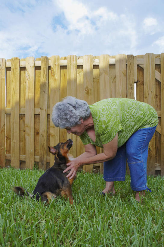 西方人,一个人,栏杆,站,摸,竖图,室外,白天,侧面,草地,草坪,植物,宠物,狗,欧洲,欧洲人,仅一个女性,仅一个人,抚摸,弯腰,庭院,云,云朵,围栏,云彩,护栏,草,一只,蓝色,绿色,白色,白云,蓝天,天空,动物,天,站着,可爱,仅一个老年女性,晴朗,天井,忠诚,弯身,老年女性,女人,女性,白种人,晴空,犬,触摸,接触,站立,彩图,全身,短发