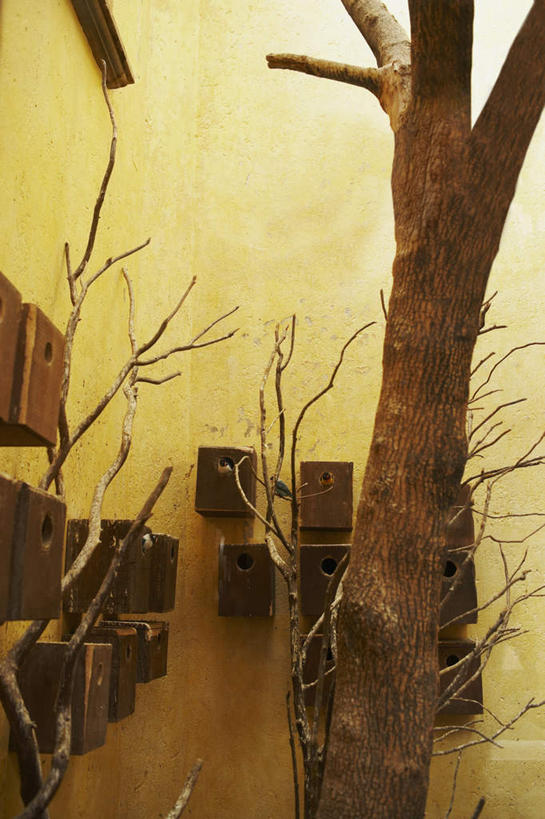 无人,竖图,室外,白天,正面,旅游,度假,美景,植物,阴影,光线,影子,墙,景观,灯光,娱乐,墙壁,墙面,树,树干,树木,绿色,自然,享受,休闲,景色,放松,生长,成长,北美,北美洲,自然风光,美洲,北亚美利加洲,亚美利加洲,波多黎各,波多黎各自由邦,大安的列斯群岛,彩图