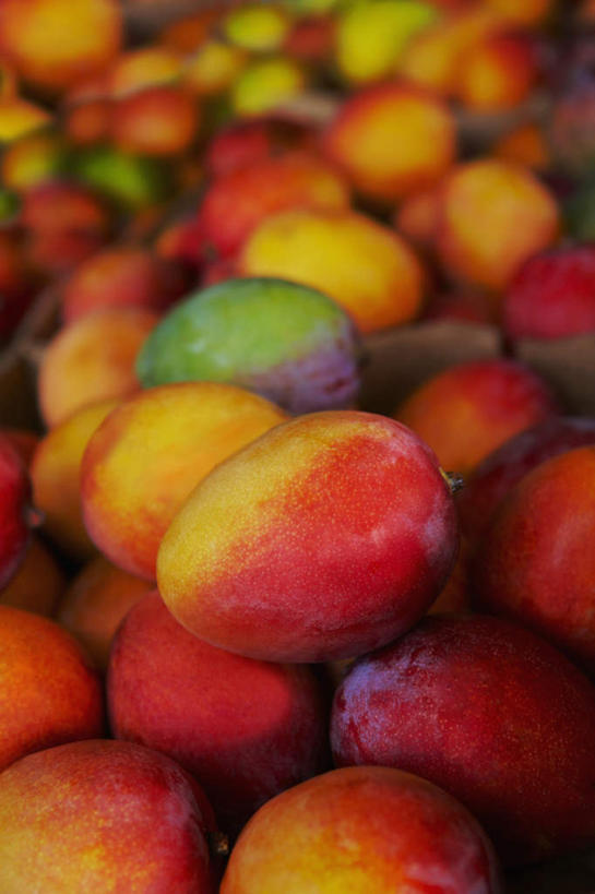 无人,竖图,室外,白天,正面,芒果,水果,一堆,许多,堆叠,堆积,新鲜,生食,食品,果实,食物,红色,有机食品,绿色食品,堆,望果,蜜望,檬果,闷果,漭果,杧果,庵波罗果,彩图