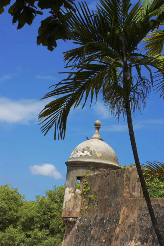 无人,竖图,室外,白天,正面,旅游,度假,名胜古迹,树林,植物,标志建筑,地标,建筑,阴影,朦胧,模糊,遗迹,光线,影子,墙,云,云朵,云彩,古迹,文物,娱乐,建设,古建筑,墙壁,墙面,树,树木,蓝色,绿色,白云,蓝天,天空,阳光,自然,天,享受,休闲,旅游胜地,放松,生长,晴朗,成长,北美,北美洲,美洲,古文明,北亚美利加洲,亚美利加洲,波多黎各,波多黎各自由邦,莫罗古堡,晴空,彩图