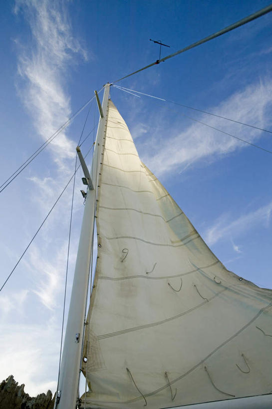 帆船,无人,竖图,室外,白天,仰视,旅游,度假,美景,植物,船,墨西哥,朦胧,模糊,景观,云,云朵,云彩,娱乐,树,树木,蓝色,绿色,白云,蓝天,天空,自然,交通工具,天,享受,休闲,景色,放松,生长,晴朗,成长,北美,北美洲,自然风光,载具,美洲,船帆,北亚美利加洲,亚美利加洲,墨西哥合众国,仙人掌王国,圣卢卡斯角,晴空,彩图,低角度拍摄