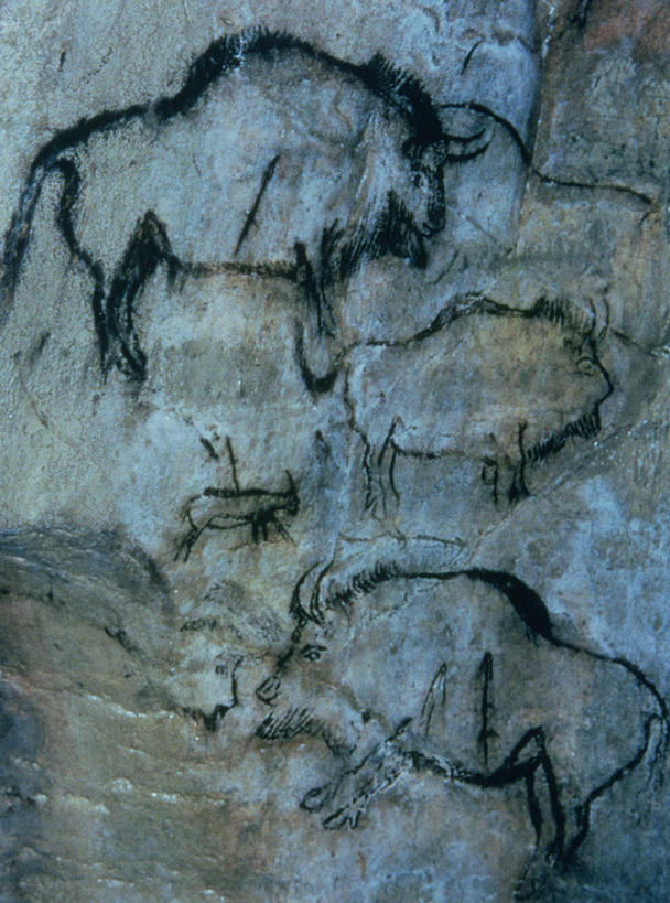 无人,竖图,室内,特写,白天,正面,绘画,石头,牛,野生动物,一头,艺术,装饰,石子,墙,文化,壁画,墙壁,墙面,动物,华丽,修饰,点缀,美洲野牛,凶猛,衬托,美观,雅致,雅观,美洲草原野牛,美洲犎牛,美洲平原野牛,残暴,凶残,石块,岩石,野牛,画画,彩图,全身