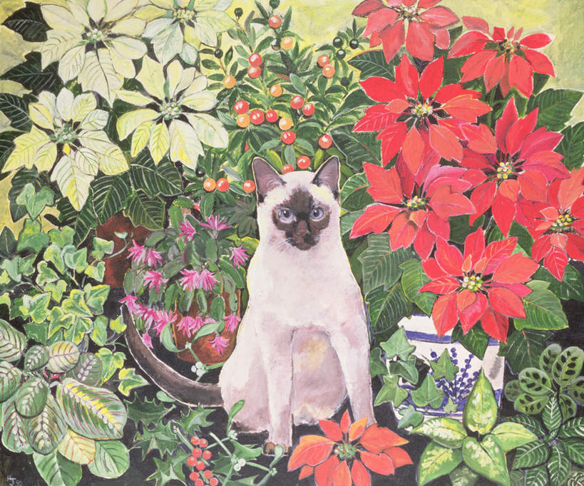 无人,坐,横图,室内,白天,正面,绘画,植物,仙人掌,宠物,猫,叶子,油画,艺术,盛开,暹罗猫,火焰,绿叶,圣诞红,一品红,草药,古典,花蕾,注视,文化,中药,花,花瓣,花朵,鲜花,一只,红色,绿色,动物,工艺品,花苞,花蕊,圣诞花,观察,看,品味,嫩叶,可爱,猩猩木,观看,绿洲,美术,察看,高雅,关注,药材,中草药,猫咪,中药材,本草,牛舌头,美学,泰国猫,西母猫,叶,叶片,玉芙蓉,仙巴掌,火掌,霸王树,坐着,彩图,全身