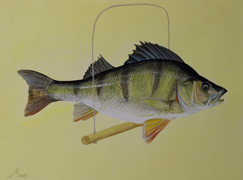 海鲜,无人,横图,室内,特写,白天,侧面,绘画,油画,一条,黄色背景,漂浮,艺术,木制,鱼,古典,注视,文化,水产,鱼类,海洋生物,木制品,工艺品,观察,看,品味,张嘴,观看,漂流,木棍,美术,察看,高雅,关注,水生动物,海产品,水生物,张大嘴巴,海底动物,美学,流浪,流落,流散,漂泊,飘泊,飘流,张开嘴,彩图,全身