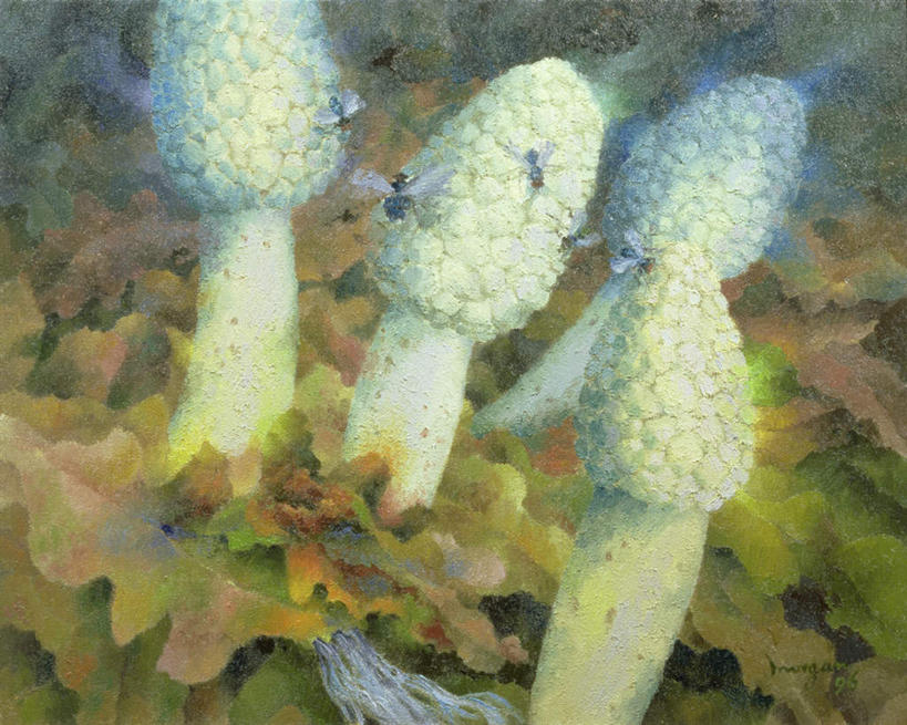 无人,横图,俯视,室内,白天,绘画,蔬菜,叶子,油画,新鲜,艺术,菌菇,蘑菇,食品,绿叶,古典,菌类,文化,食物,白色,工艺品,品味,四个,嫩叶,食用菌,有机食品,绿色食品,美术,高雅,美学,毒蘑菇,叶,叶片,彩图,高角度拍摄