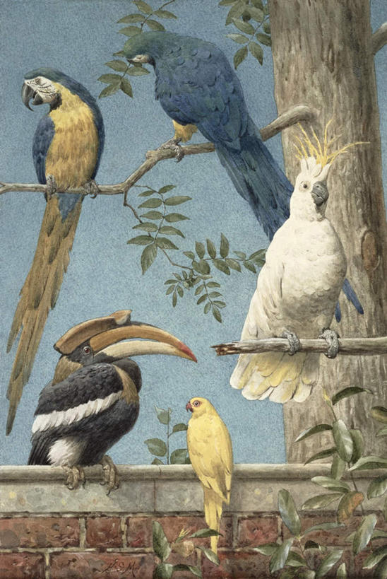 无人,站,竖图,室内,白天,正面,绘画,植物,鸟,鹦鹉,油画,阴影,艺术,光线,鸟类,影子,枝条,古典,扭头,注视,文化,树,树木,树枝,蓝色,绿色,蓝天,天空,阳光,自然,动物,工艺品,天,观察,看,品味,站着,转头,可爱,活泼,生长,晴朗,五只,成长,观看,美术,察看,金刚鹦鹉,高雅,关注,万里无云,美学,观赏鸟,黄蓝金刚鹦鹉,蓝黄金刚鹦鹉,虬枝,枝杈,晴空,晴空万里,站立,彩图,全身,琉璃金刚鹦鹉