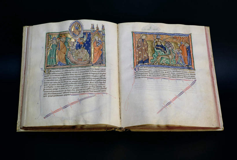 西方人,无人,站,横图,俯视,室内,特写,白天,植物,静物,欧洲,欧洲人,黑色背景,服装,英文,标志,长袍,文字,字符,字母,圣经,许多人,注视,标识,树,树木,衣服,绿色,自然,观察,看,站着,一群人,摄影,服饰,影棚,生长,成长,观看,英文字母,察看,衣着,穿着,关注,衣饰,男人,男性,中年男性,白种人,站立,彩图,高角度拍摄,全身,影棚拍摄,拍摄,插图