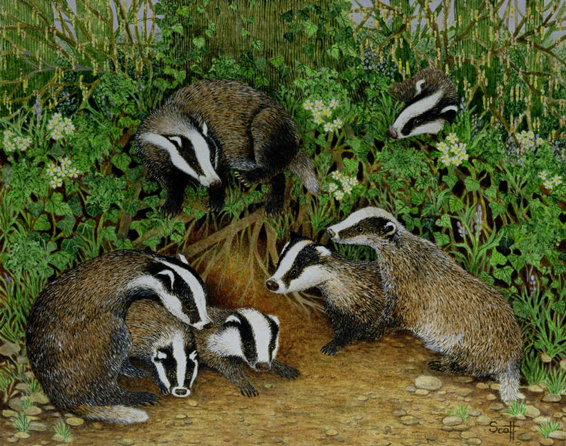 无人,横图,室内,白天,正面,绘画,草地,草坪,植物,野生动物,油画,许多,艺术,很多,古典,注视,文化,草,绿色,动物,工艺品,观察,看,趴着,品味,观看,美术,察看,高雅,关注,狡猾,美学,狡诈,黄鼬,黄鼠狼,趴,彩图,全身