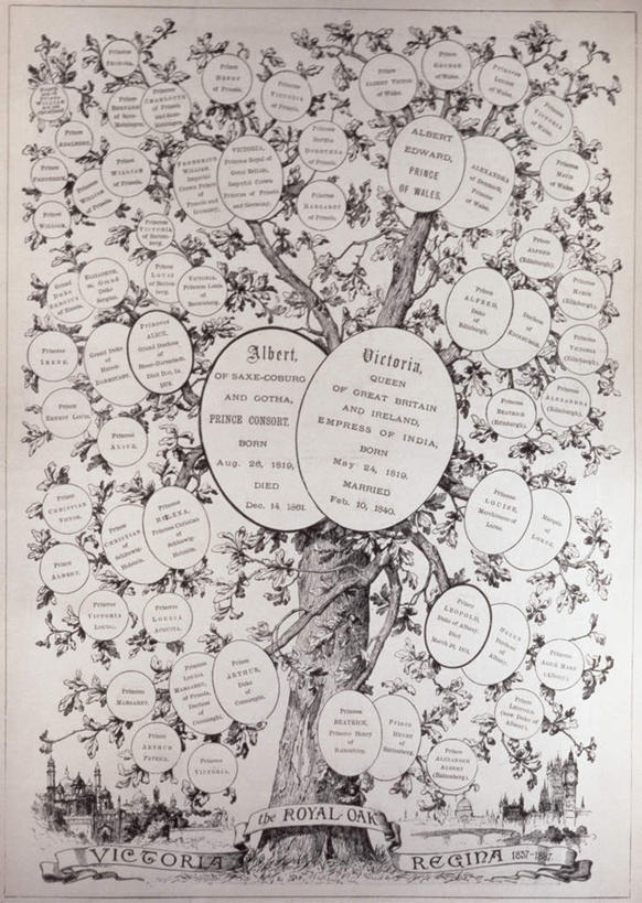 无人,竖图,黑白,室内,白天,白色背景,正面,绘画,植物,阴影,艺术,反射,边框,标志,文字,影子,字符,字母,堡垒,城堡,圈,古典,文化,标识,树,树木,绿色,自然,工艺品,品味,生长,成长,美术,留言,高雅,要塞,美学,设防