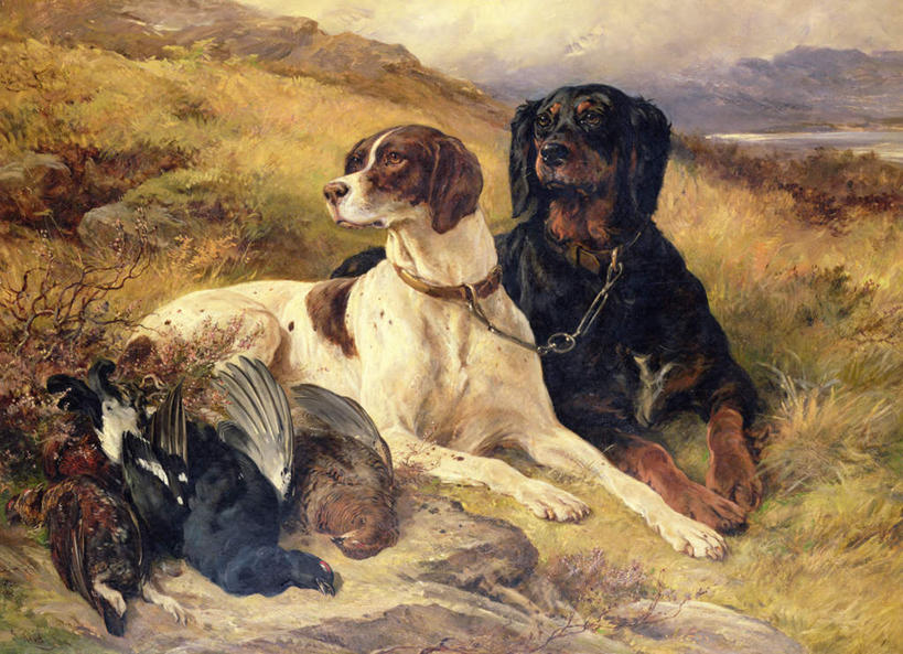 无人,横图,室内,白天,正面,绘画,石头,山,山脉,植物,宠物,狗,鸡,鸟,油画,三只,枯萎,艺术,鸟类,雉鸡,石子,山峰,云,云朵,枯草,山峦,古典,云彩,注视,文化,草,黄色,蓝色,白色,黑色,白云,蓝天,天空,动物,工艺品,群山,天,观察,看,趴着,品味,两只,可爱,晴朗,观看,锁链,美术,死亡,察看,高雅,关注,环颈雉,忠诚,美学,殒命,灭亡,看管,看守,石块,岩石,晴空,野鸡,犬,趴,彩图,全身,把守