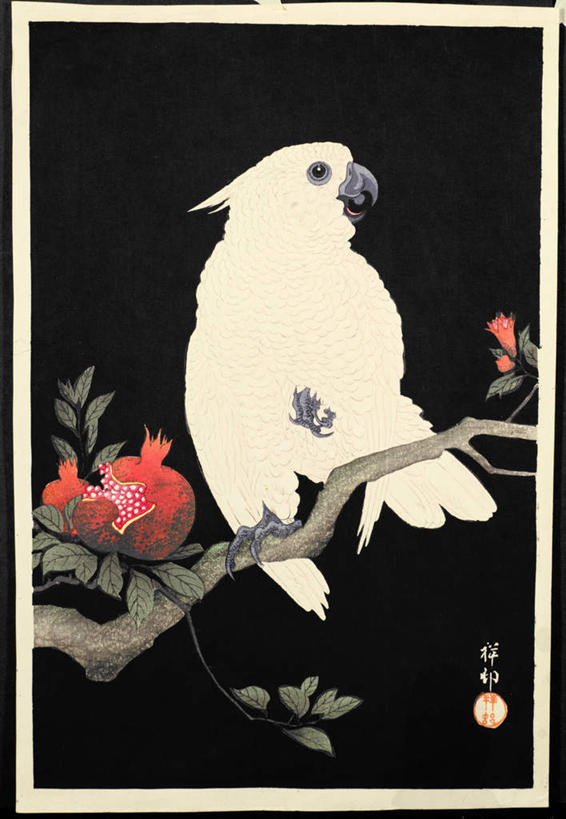 无人,站,竖图,室内,白天,正面,绘画,美景,植物,鸟,鹦鹉,石榴,水果,黑色背景,新鲜,艺术,鸟类,景观,生食,食品,果实,枝条,古典,扭头,注视,文化,树,树木,树枝,食物,一个,一只,自然,动物,工艺品,观察,看,品味,站着,转头,景色,可爱,活泼,有机食品,绿色食品,单个,观看,美术,察看,高雅,关注,自然风光,美学,观赏鸟,木版画,大白鹦鹉,凤头鹦鹉,雨伞巴丹,雨伞凤头鹦鹉,虬枝,枝杈,大白凤头鹦鹉,版画,涂林,若榴,金罂,金庞,丹若,安石榴,站立,彩图,全身