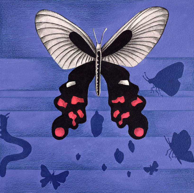 无人,横图,俯视,室内,白天,绘画,蝴蝶,油画,许多,伸展,张开,展翅,阴影,紫色背景,艺术,反射,翅膀,昆虫,影子,古典,文化,动物,工艺品,品味,毛毛虫,美术,高雅,益虫,张开翅膀,美学,害虫,展开翅膀,毛虫,彩图,高角度拍摄,全身