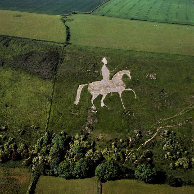 无人,横图,俯视,航拍,室外,白天,旅游,度假,草地,草坪,美景,植物,马,野生动物,英国,欧洲,阴影,光线,图案,影子,景观,娱乐,草,树,树木,骑,绿色,阳光,自然,动物,享受,休闲,景色,放松,运输,牲畜,生长,成长,西欧,鸟瞰,自然风光,大不列颠,多塞特郡,大不列颠及北爱尔兰联合王国,大不列颠联合王国,日不落英帝国,多塞特,彩图,高角度拍摄