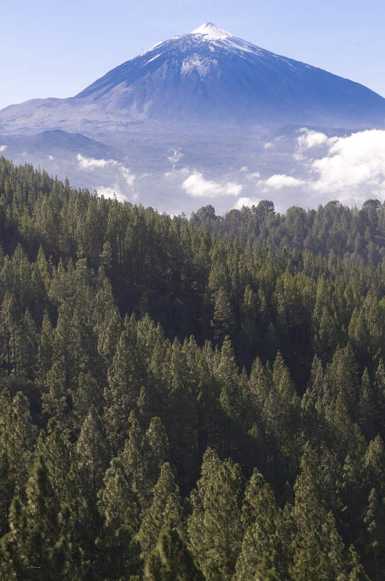 无人,公园,竖图,俯视,室外,白天,旅游,度假,石头,美景,山,树林,雪,雪山,植物,大雪,西班牙,欧洲,阴影,光线,石子,影子,冰,积雪,景观,山峰,雪景,云,云朵,冬季,冬天,山峦,云彩,娱乐,树,树木,蓝色,绿色,白云,蓝天,天空,阳光,自然,天,享受,休闲,景色,放松,寒冷,生长,晴朗,成长,连绵,冰冷,国家公园,绵延,加纳利群岛,南欧,自然风光,加那利群岛,西班牙王国,严寒,冰凉,酷寒,凛冽,凛凛,极冷,绵亘,特内里费岛,泰德国家公园,石块,岩石,晴空,彩图,高角度拍摄