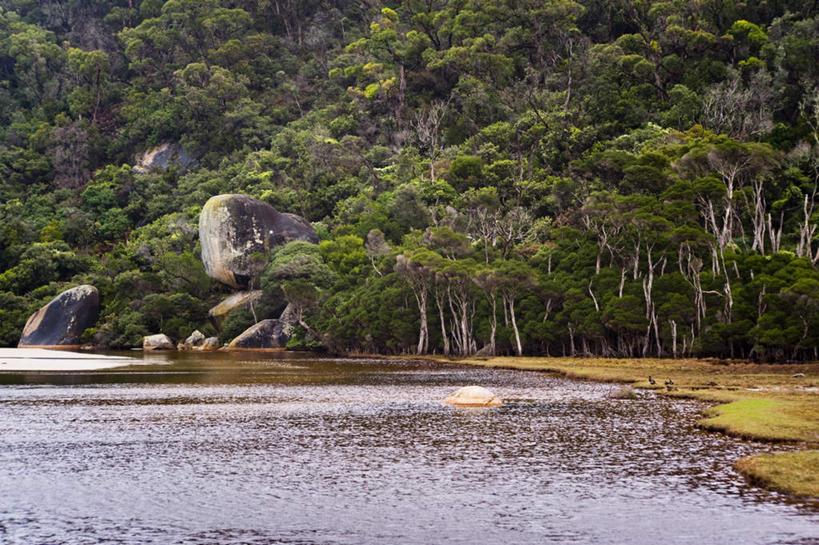 无人,横图,室外,白天,正面,旅游,度假,海浪,海洋,石头,美景,沙滩,山,山脉,树林,植物,澳大利亚,阴影,波纹,光线,沙子,石子,影子,海岸,景观,浪花,山峰,涟漪,沙地,山峦,娱乐,树,树木,绿色,倒影,水纹,阳光,自然,海水,波浪,群山,享受,休闲,景色,放松,生长,成长,倒映,国家公园,自然风光,大洋洲,澳洲,海景,南方大陆,水晕,澳大利亚联邦,威尔逊岬国家公园,维多利亚,维多利亚州,反照,大海,风浪,海,海水的波动,海滩,近岸浪,石块,岩石,涌浪,彩图