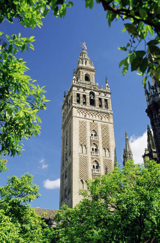 无人,教堂,竖图,室外,白天,仰视,旅游,度假,美景,植物,标志建筑,地标,建筑,西班牙,欧洲,阴影,节日,光线,影子,墙,屋顶,景观,云,云朵,尖顶,云彩,顶棚,文化,娱乐,建设,塞维利亚,塞维利亚大教堂,墙壁,墙面,树,树木,蓝色,绿色,白云,蓝天,天空,阳光,自然,天,祈祷,享受,休闲,健康,旅游胜地,景色,放松,许愿,宗教,信仰,生长,晴朗,成长,纪念,祈求,南欧,自然风光,信念,伊比利亚半岛,伊比利亚,平安,晴空,彩图,低角度拍摄,大教堂,礼拜堂