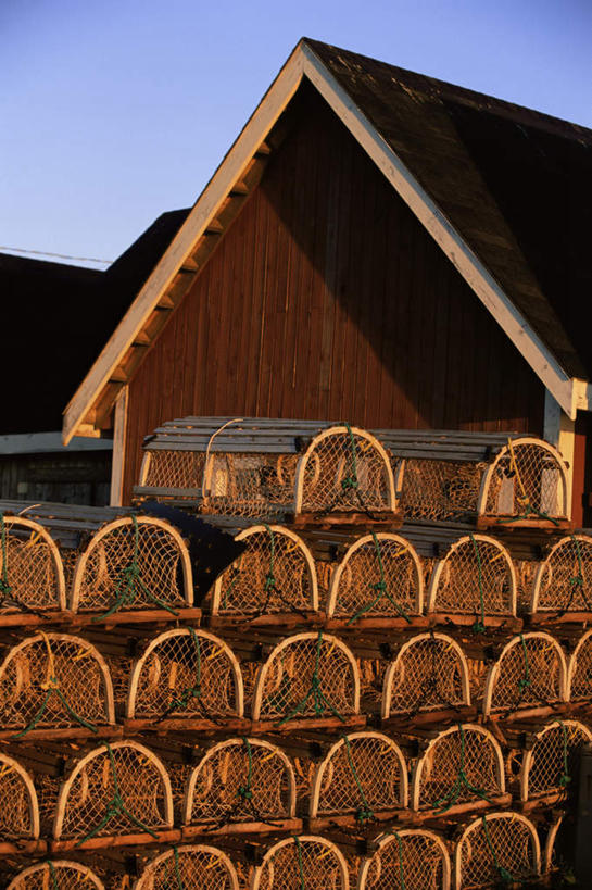 无人,家,木屋,竖图,室外,白天,正面,度假,美景,城市风光,城市,加拿大,一排,阴影,整齐,光线,影子,景观,笼子,娱乐,住宅,排列,蓝色,蓝天,天空,阳光,天,享受,休闲,景色,放松,渔网,晴朗,渔具,北美,北美洲,队列,抓捕,美洲,捕捞,鱼网,万里无云,拉网,捕捞工具,北亚美利加洲,亚美利加洲,爱德华王子岛,晴空,晴空万里,彩图,茅舍,茅屋,棚屋,小木屋,小屋