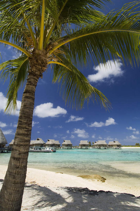 无人,竖图,室外,白天,正面,旅游,度假,海浪,海洋,美景,日落,沙滩,法国,欧洲,沙子,海岸,景观,浪花,晚霞,霞光,云,云朵,落日,沙地,云彩,娱乐,蓝色,白云,蓝天,天空,自然,海水,黄昏,天,享受,休闲,景色,彩霞,放松,晴朗,自然风光,海景,波利尼西亚,法属波利尼西亚,法兰西共和国,法兰西第五共和国,土阿莫土群岛,夕照,大海,风浪,海,海水的波动,海滩,近岸浪,涌浪,晴空,夕阳,彩图,斜阳