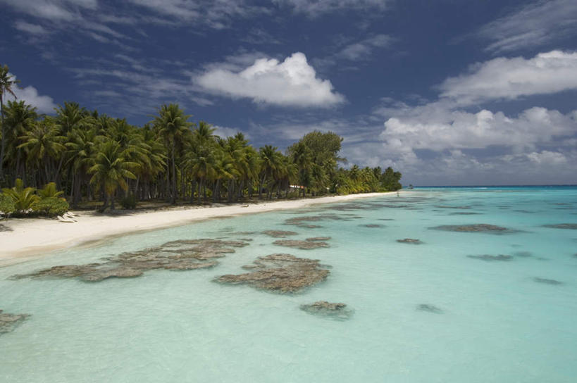无人,横图,室外,白天,正面,旅游,度假,海浪,海洋,美景,沙滩,植物,棕榈树,叶子,法国,欧洲,沙子,海岸,景观,浪花,云,云朵,绿叶,沙地,云彩,娱乐,树,树木,蓝色,绿色,白云,蓝天,天空,自然,海水,天,享受,休闲,嫩叶,景色,放松,生长,晴朗,成长,自然风光,海景,棕榈叶,波利尼西亚,法属波利尼西亚,法兰西共和国,法兰西第五共和国,土阿莫土群岛,叶,叶片,大海,风浪,海,海水的波动,海滩,近岸浪,涌浪,晴空,彩图