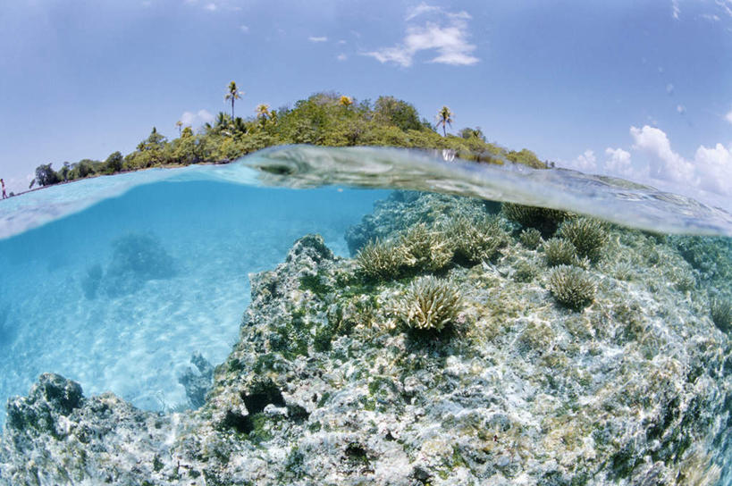 无人,横图,室外,白天,正面,旅游,度假,海浪,海洋,美景,沙滩,植物,棕榈树,叶子,法国,欧洲,沙子,海岸,景观,浪花,云,云朵,绿叶,沙地,云彩,娱乐,树,树木,蓝色,绿色,白云,蓝天,天空,自然,海水,天,享受,休闲,嫩叶,景色,放松,生长,晴朗,成长,自然风光,海景,棕榈叶,波利尼西亚,法属波利尼西亚,法兰西共和国,法兰西第五共和国,土阿莫土群岛,叶,叶片,大海,风浪,海,海水的波动,海滩,近岸浪,涌浪,晴空,彩图